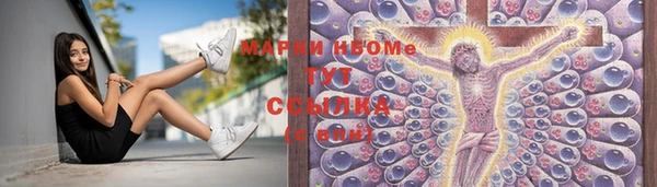 СК Сафоново