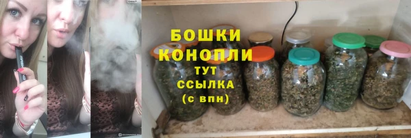 СК Сафоново